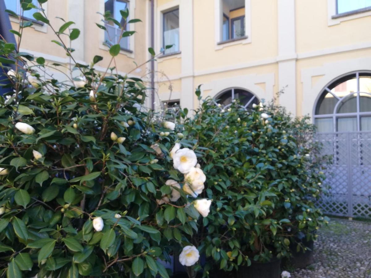Lisander B&B Suite And Terrace Seregno Zewnętrze zdjęcie
